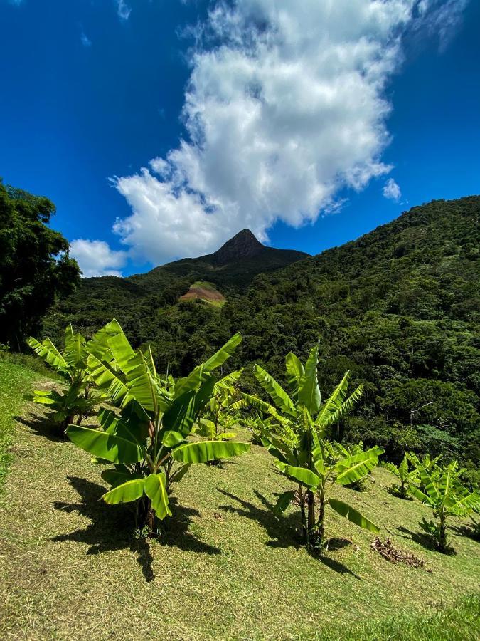 Pousada Quinta Das Nascentes Петрополіс Екстер'єр фото