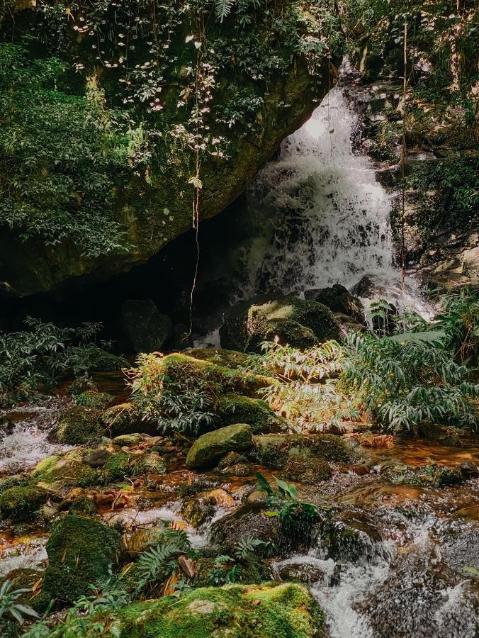 Pousada Quinta Das Nascentes Петрополіс Екстер'єр фото